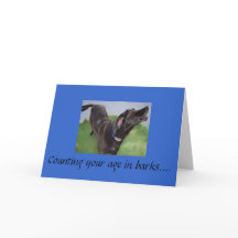 013, räkna din ålder i barkar...