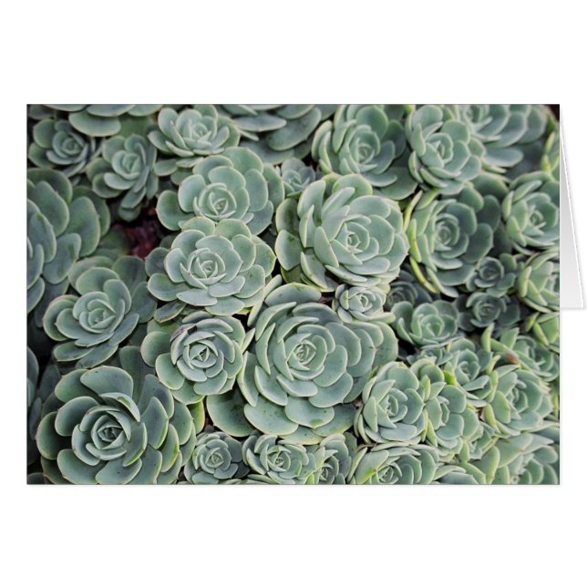 01760023 OBS KORT (Framsidan Horizontal)