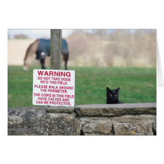 020409HundarFarm260 Hälsningskort