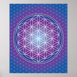 02 TRANSCENDENCE - blomma av liv Poster