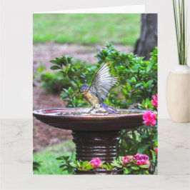 030 Matte för kort 8.5x11 för blåsångarebad stor