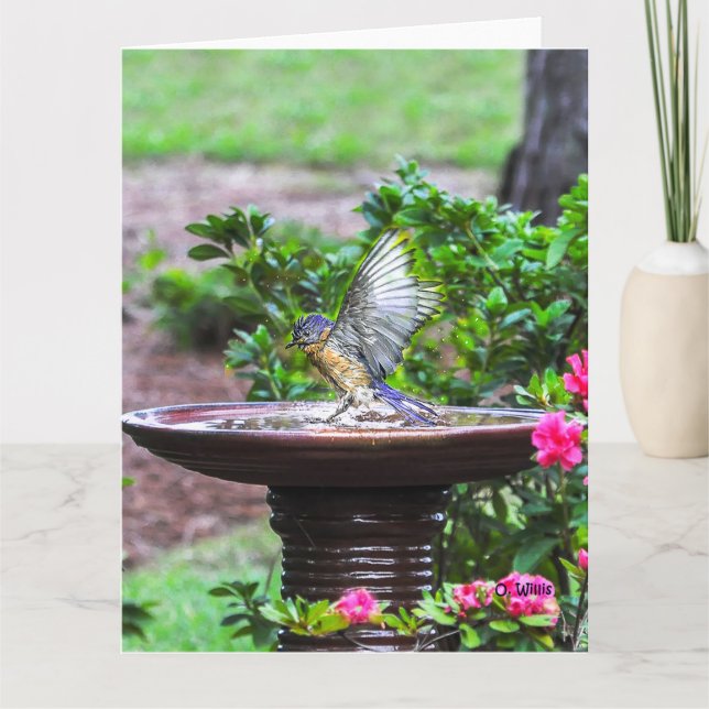 030 Matte för kort 8.5x11 för blåsångarebad stor (Framsida)