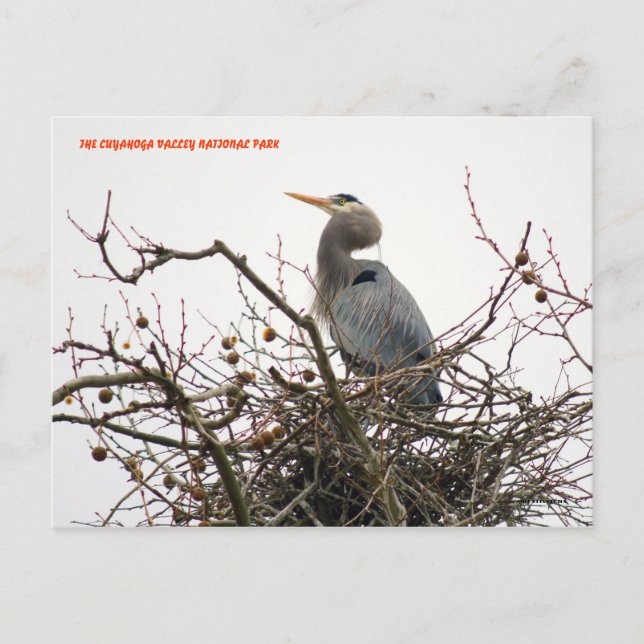 040111-70-APC VYKORT (Framsida)