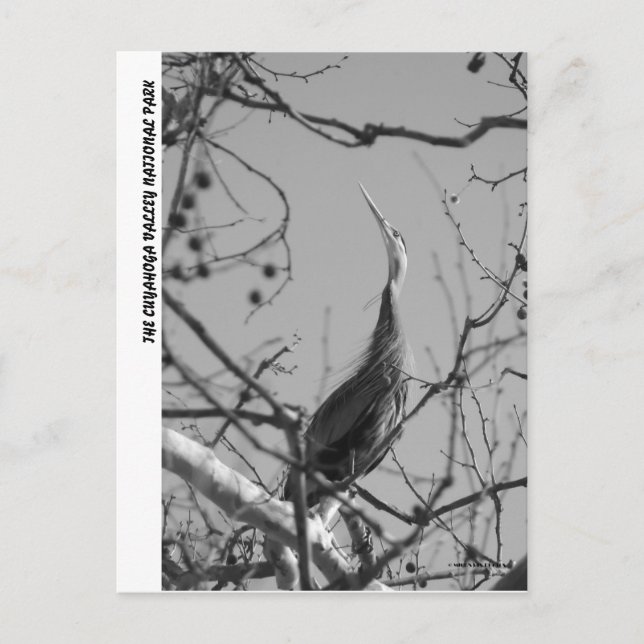 040510-9-APC VYKORT (Framsida)