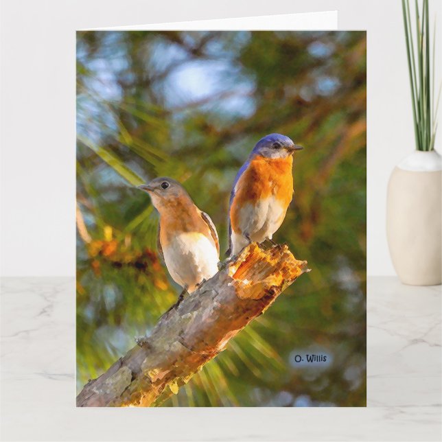 040 Matte för kort 8.5x11 för blåsångarekurtis (Framsida)