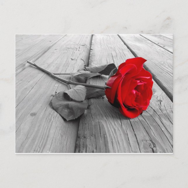 0440294 VYKORT (Framsida)