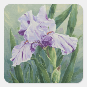 0440 Lila Iris Fyrkantigt Klistermärke