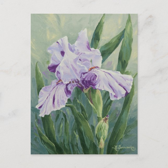 0440 Lila Streaked Iris Postcard Vykort (Framsida)