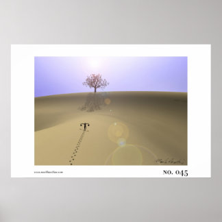 045 POSTER