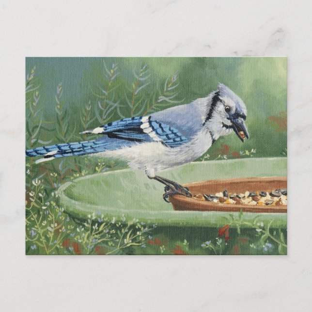 0481 Blue Jay vid matarvykort Vykort (Framsida)