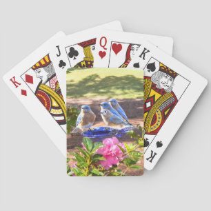 050 bluebirdsför evigt som leker kort casinokort