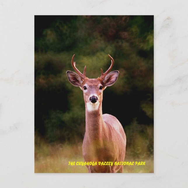 070306-34-APC VYKORT (Framsida)