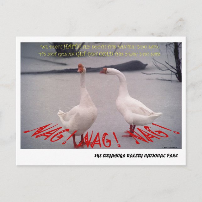 072506-10-APC NAG, NAG, NAG VYKORT (Framsida)