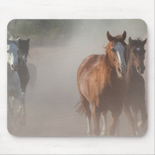 0800-Vilders mustangs som körs Musmatta