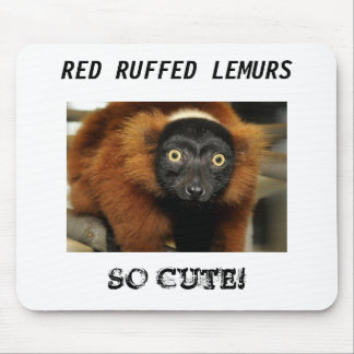 080725 red-ruffed-02, RÖDA RUFFED-LEMURS som SÅ ÄR Musmatta