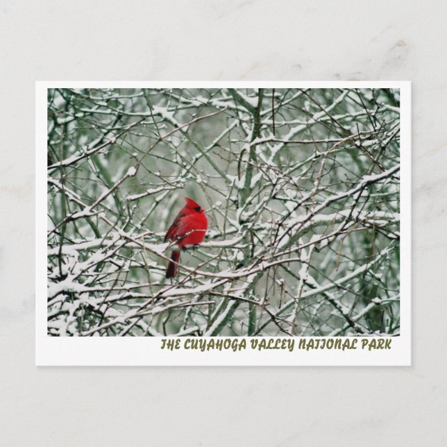 080806-25-APC VYKORT (Framsida)