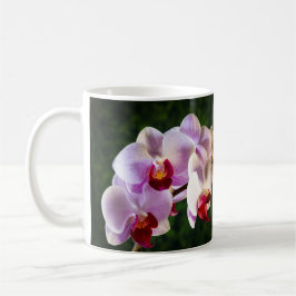0834-Rosa Orchids Kaffemugg