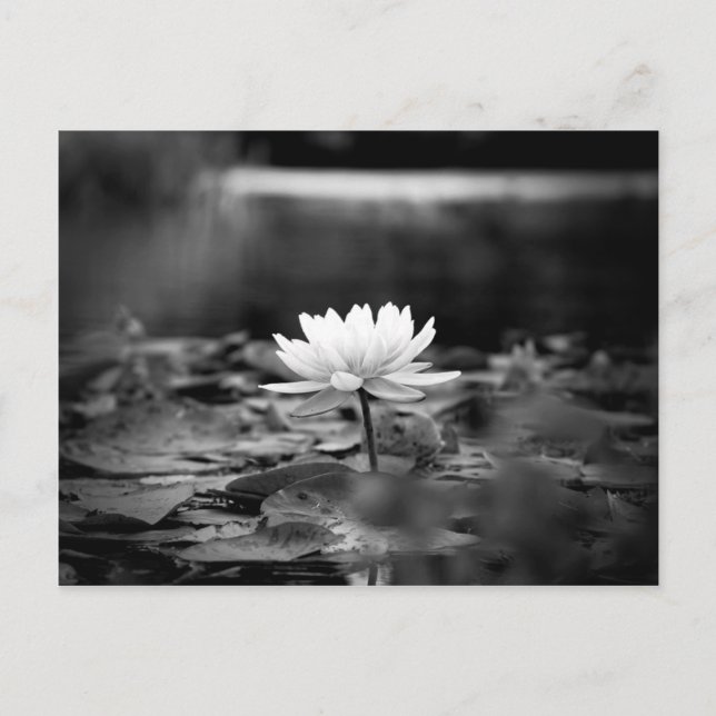 085-serien1 vykort (Framsida)