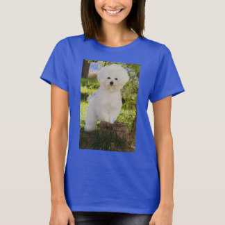 09, DE ISHBILIA BICHON FRISE TEE SHIRT