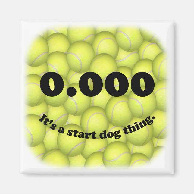 0.000, perfekt Flyball börjar! Kylmagnet Magnet (Framsidan)