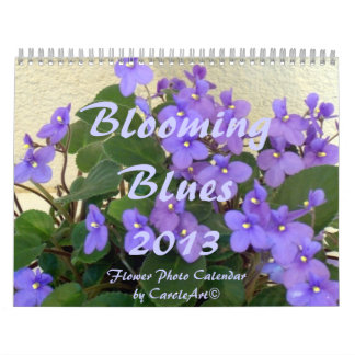 0 2013 Blodblåsor Kalender