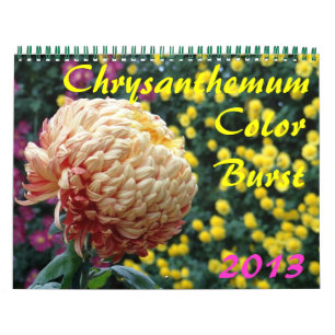 0 2013 Chrysanthemum Färg Burst Kalender