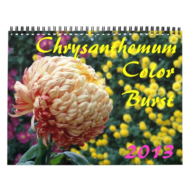 0 2013 Chrysanthemum Färg Burst Kalender (Omslag)
