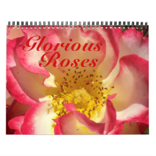 0 2013 härliga ro kalender