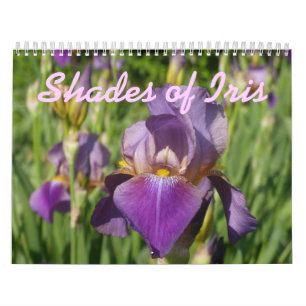 0 2013 skuggar av irisen kalender