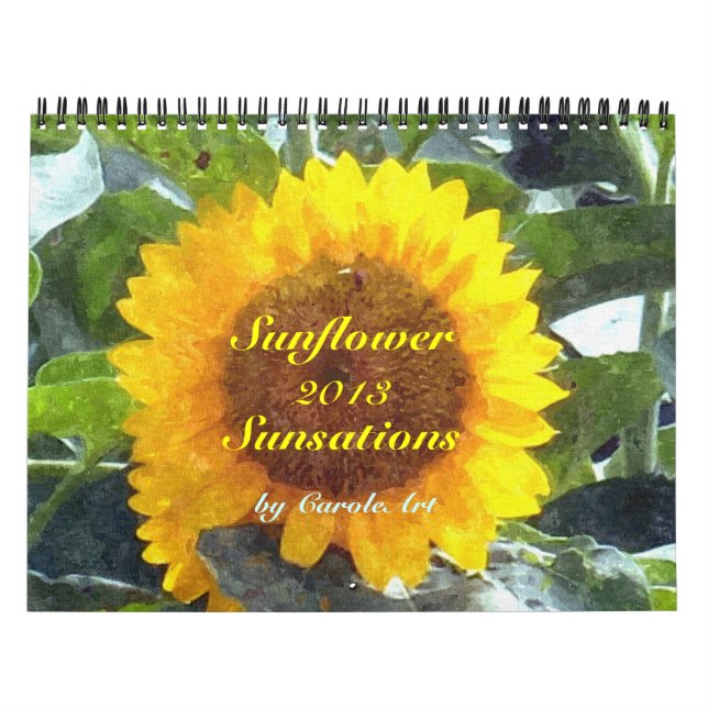 0 2013 Solrosensationer Kalender (Omslag)