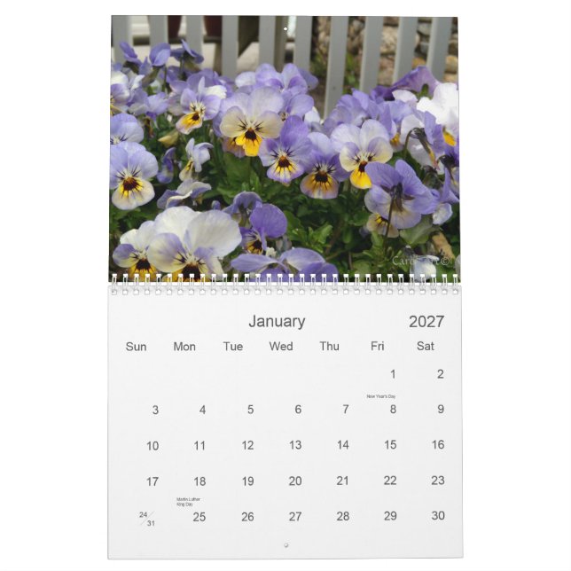 0 Pansies, nätt Pansies Kalender (Jan 2027)