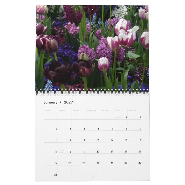 0 Tulip Art Kalender (Jan 2027)