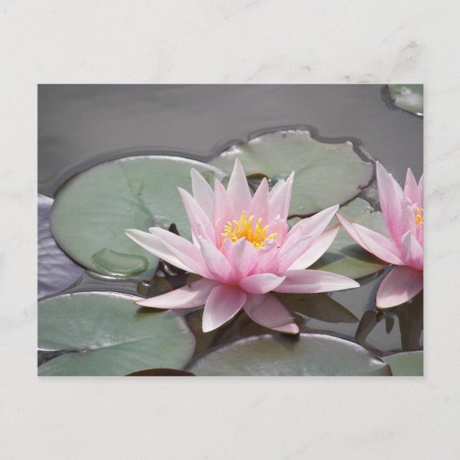 100_0085 VYKORT (Framsida)