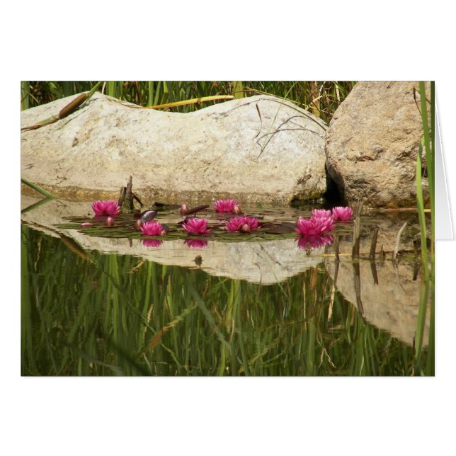 100_0088 HÄLSNINGSKORT (Framsidan Horizontal)