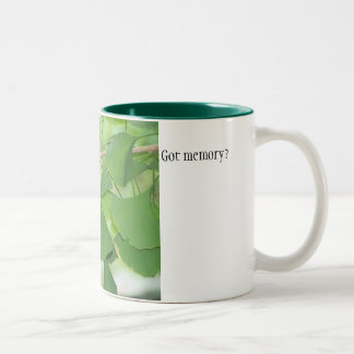 100_0337 harminne? Två-Tonad mugg