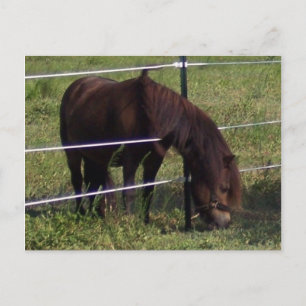 100_0375 VYKORT