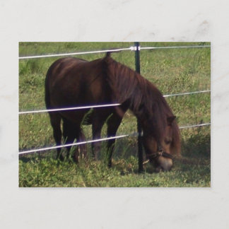 100_0375 VYKORT