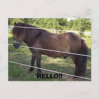 100_0376, HEJ!! VYKORT