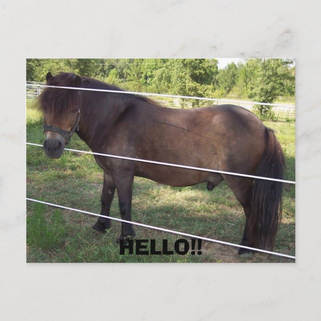 100_0376, HEJ!! VYKORT (Framsida)