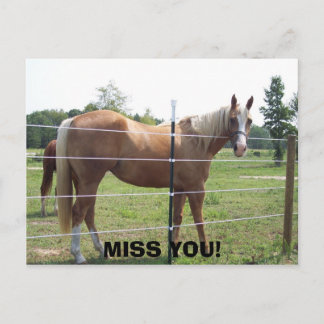 100_0415, MISSAR DIG! VYKORT