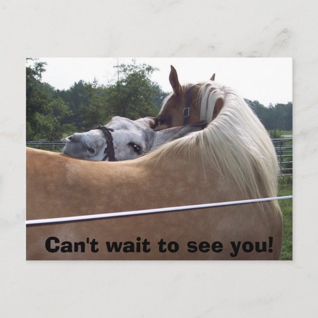 100_0416, kan inte vänta på att få träffa dig! vykort (Framsida)