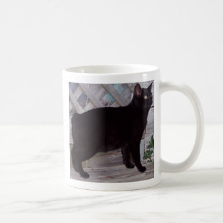 100_0621 KAFFEMUGG