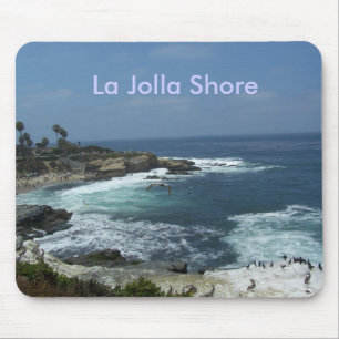 100_0878 La Jolla kust Musmatta