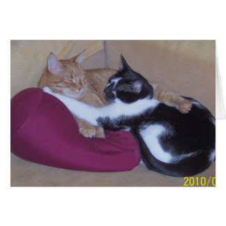 100_1102 HÄLSNINGSKORT