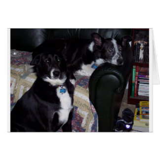 100_1642 HÄLSNINGSKORT