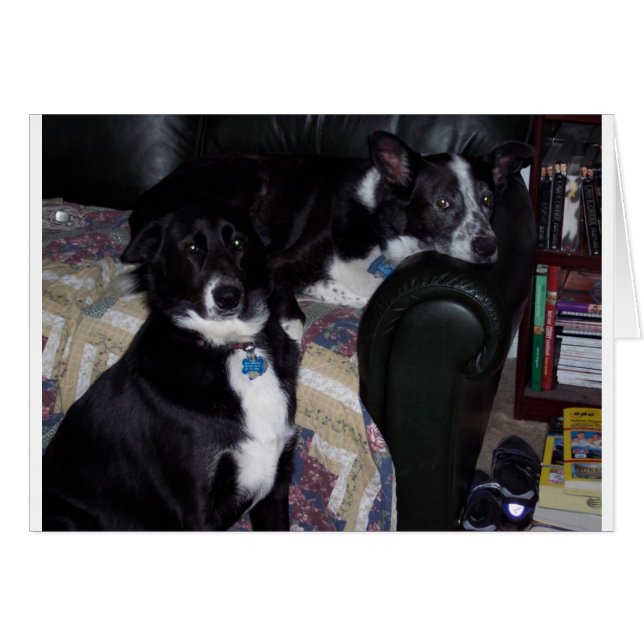 100_1642 HÄLSNINGSKORT (Framsidan Horizontal)