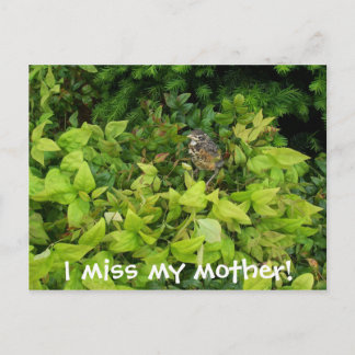 100_1805, jag saknar min mor! vykort