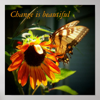 100_1974, Byt är vackert Poster