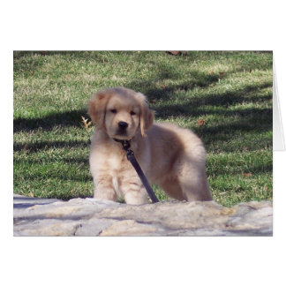 100_2426 HÄLSNINGSKORT