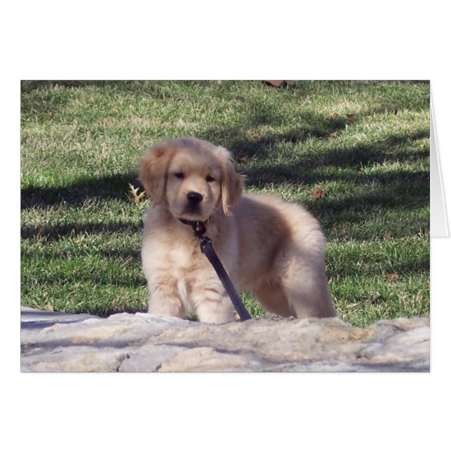 100_2426 HÄLSNINGSKORT (Framsidan Horizontal)